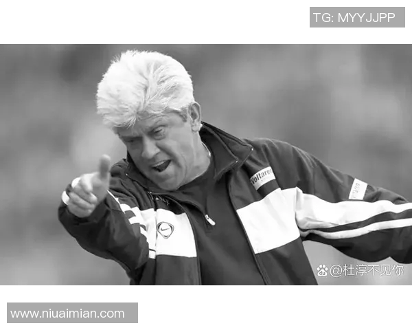 那些让人惋惜的足球遗憾球星与未竟辉煌的绿茵传奇故事 那些让人惋惜的足球遗憾球星与未竟辉煌的绿茵传奇故事