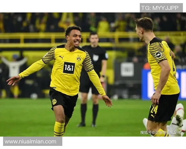 大黄蜂足球明星风采集锦精选展示图集 大黄蜂足球明星风采集锦精选展示图集