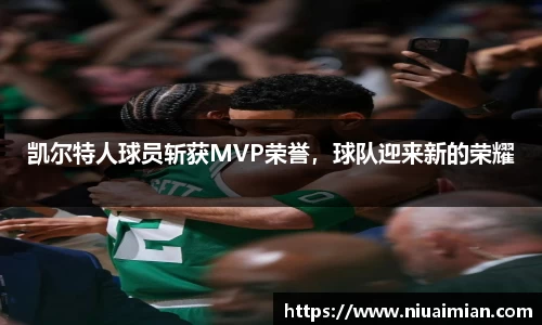 xk星空官方