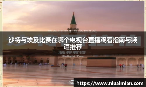 沙特与埃及比赛在哪个电视台直播观看指南与频道推荐